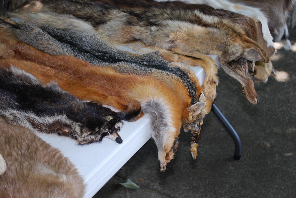 GST Rate & HSN Code for Raw Fur Skins, Articles of apparel 